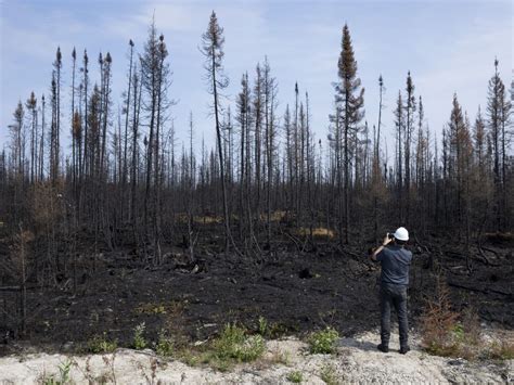 Quebec to improve forest fire adaptation after record-beating wildfire season